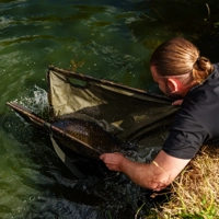 Nash Carp Care Weigh Sling Camo
